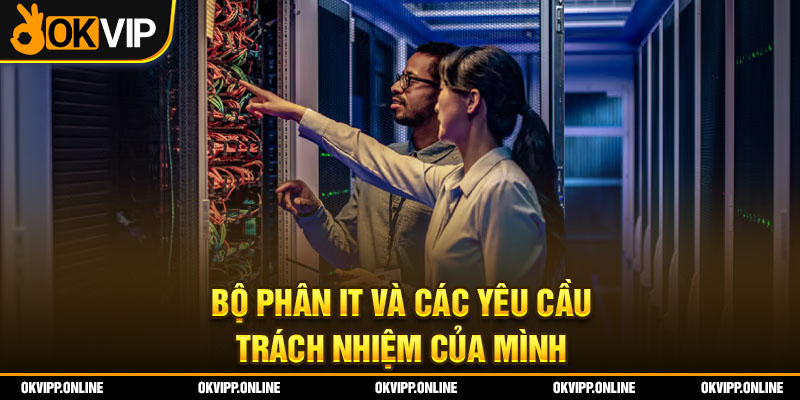 Bộ phận IT và các yêu cầu, trách nhiệm của mình